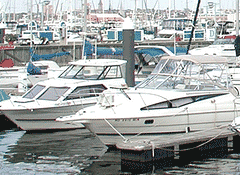 Marine and Boat Cleaner